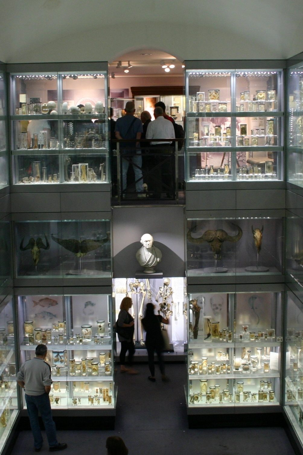 Hunterian%20Museum%2C%20Royal%20College%20of%20Surgeons%2C%20London%20-%2003.JPG